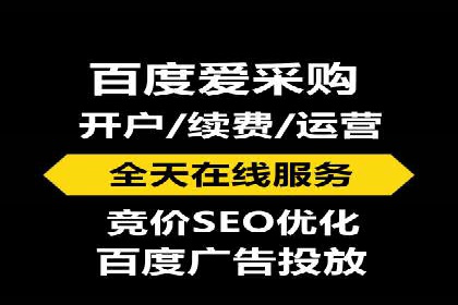 SEM运营推广策略：成功案例解析
